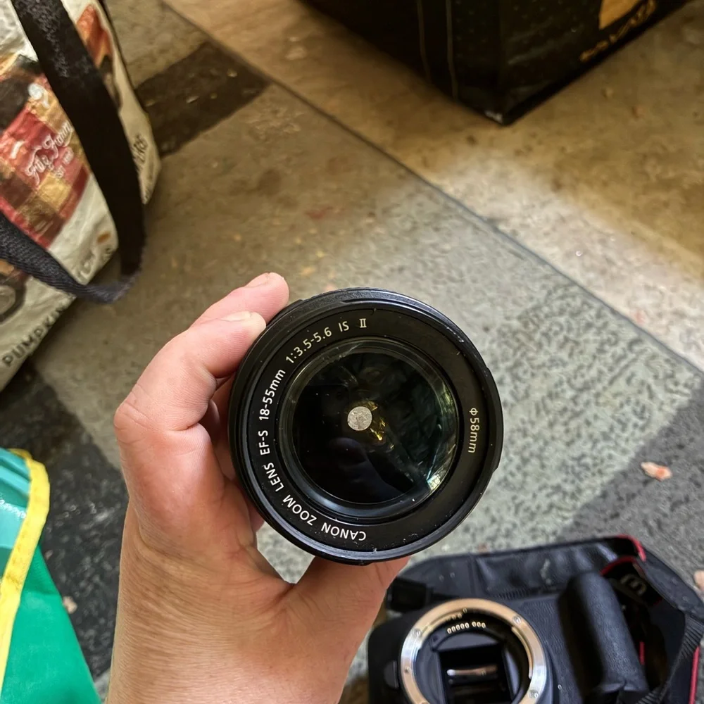 Canon EOS Rebel T7 Digital Camera - Black